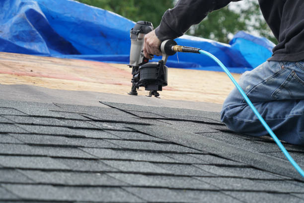 Best Roof Leak Repair  in Binghamton, NY