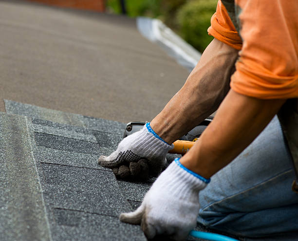 Roof Gutter Cleaning in Binghamton, NY