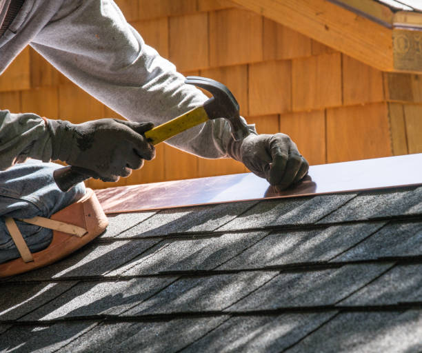 Best Metal Roofing Contractor  in Binghamton, NY